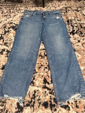 Curvy Straight Blue Jeans - Women